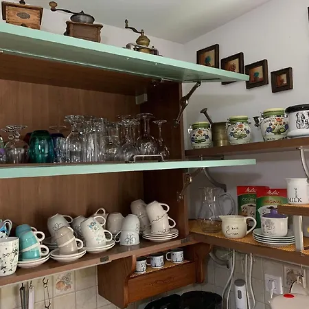 Grosse In Mit Offenem Kamin Daire